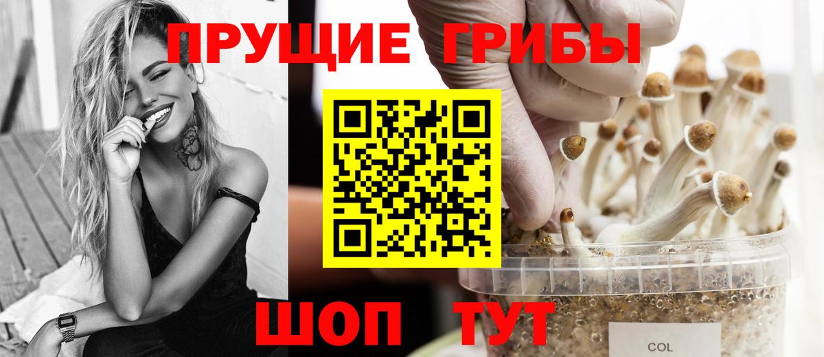 Галлюциногенные грибы мухоморы  Галлюциногенные грибы MAGIC MUSHROOMS  Ликино-Дулёво  Вход с VPN 